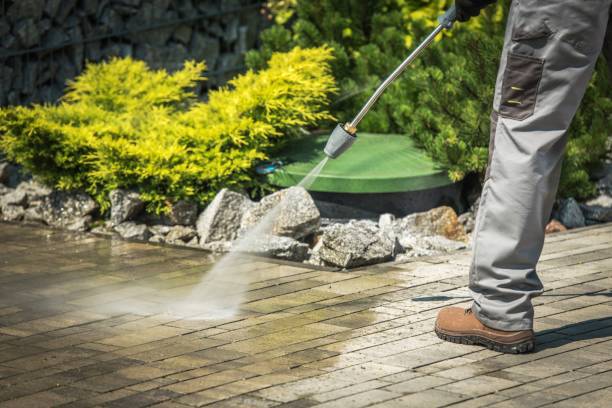 Best Boat and Dock Cleaning  in Lewisport, KY